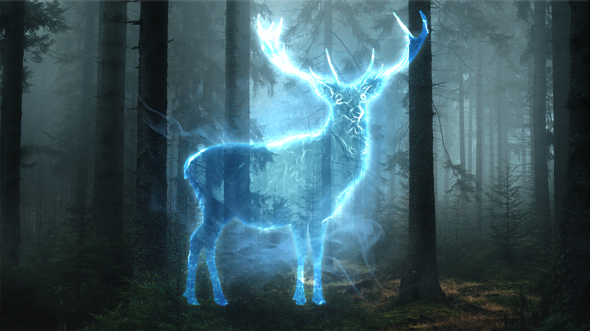 Forest Spirit effect